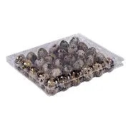 Fertile Jumbo Quail eggs