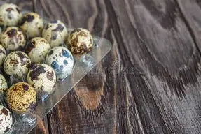 Fertile Jumbo Quail eggs
