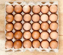 Fresh Eggs Chickens