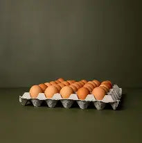 Fresh Eggs Chickens