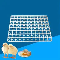 Incubotor Trays